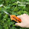 Trimming Scissors