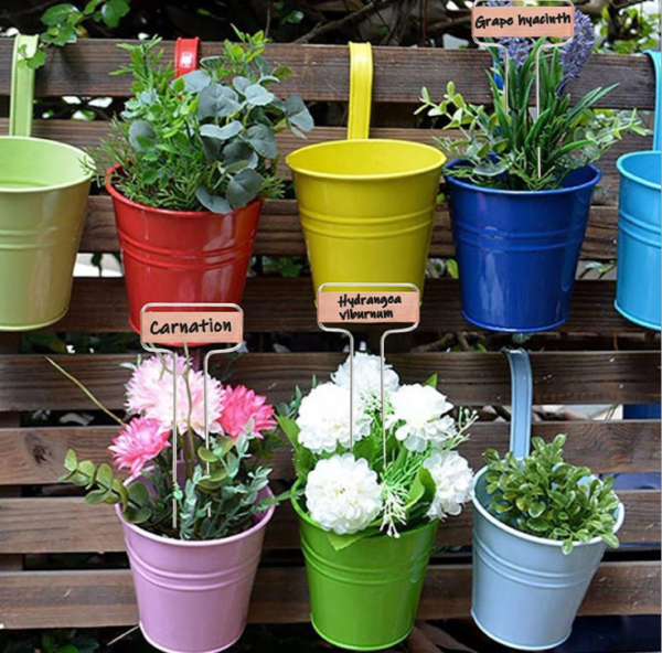 Plant Marker