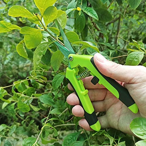 Trimming Scissors