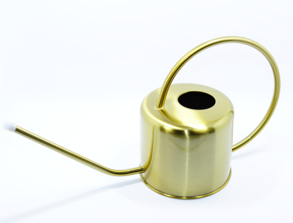 Watering Can