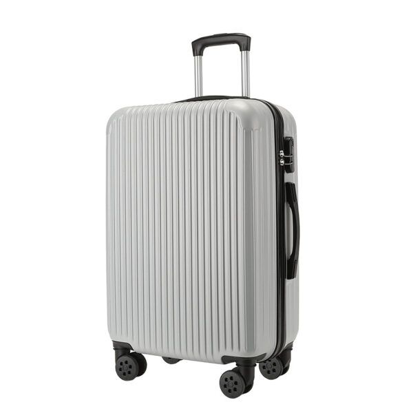 20" Luggage