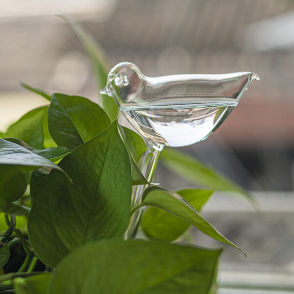 Watering Stakes